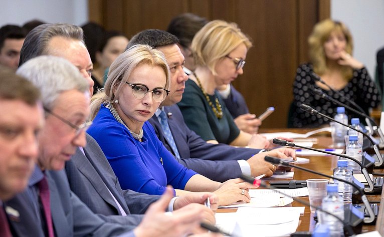 «Круглый стол» Временной комиссии по защите государственного суверенитета и предотвращению вмешательства во внутренние дела РФ