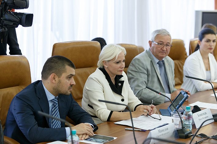 Заседание группы по сотрудничеству Совета Федерации с Парламентом Греции