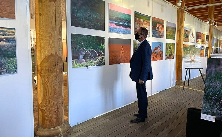 Александр Башкин посетил открывшуюся в Астраханском музейно-выставочном комплексе «Цейхгауз» фотовыставку «Сохраним сайгака вместе»