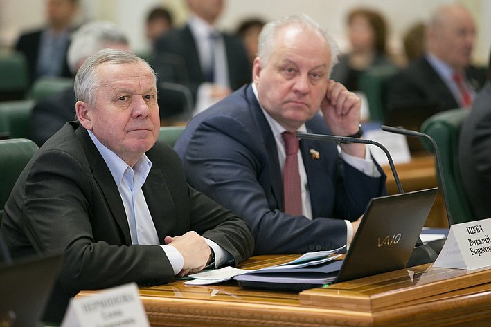 В. Шуба и И. Шубин на заседании Комитета Совета Федерации по бюджету и финансовым рынкам