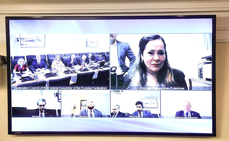 Встреча группы по сотрудничеству Совета Федерации с парламентами стран Латинской Америки и группы дружбы с Россией Палаты сенаторов Национального конгресса Республики Парагвай
