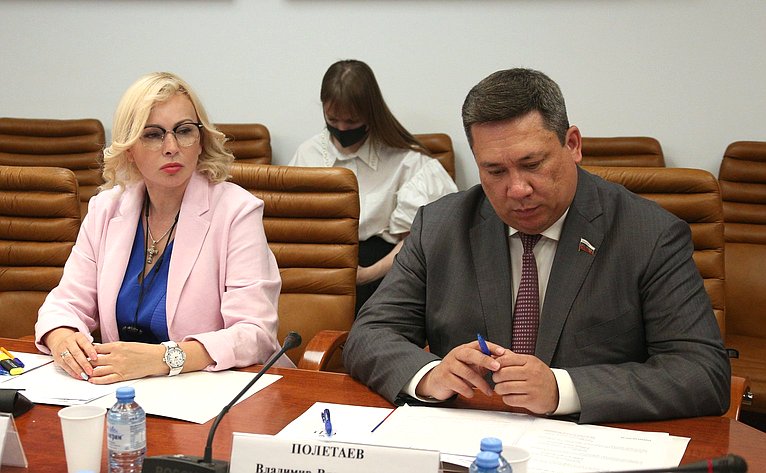 Заседание Временной комиссии СФ по защите государственного суверенитета и предотвращению вмешательства во внутренние дела Российской Федерации