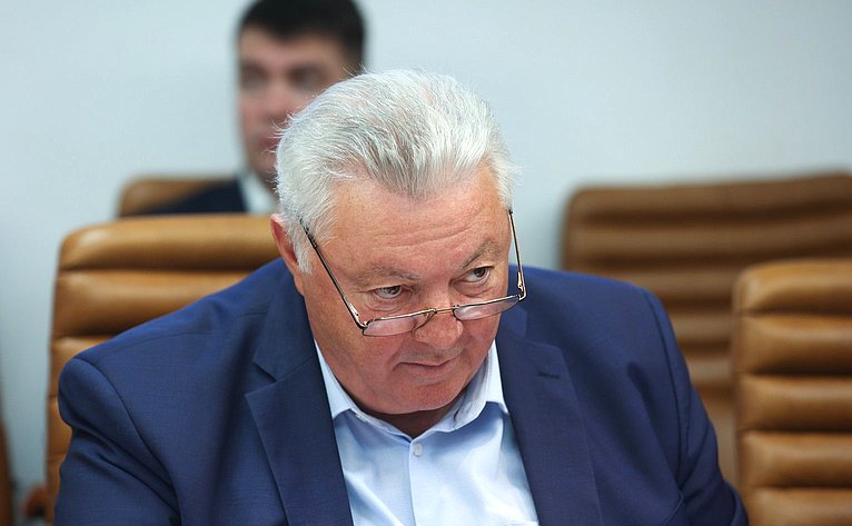 Заседание Экспертного совета по физической культуре и спорту при Комитете Совета Федерации по социальной политике