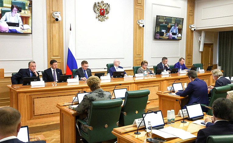 Заседание Комитета Совета Федерации по конституционному законодательству и государственному строительству