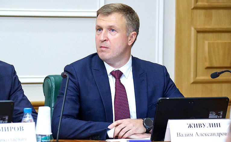Заседание Комитета Совета Федерации по конституционному законодательству и государственному строительству