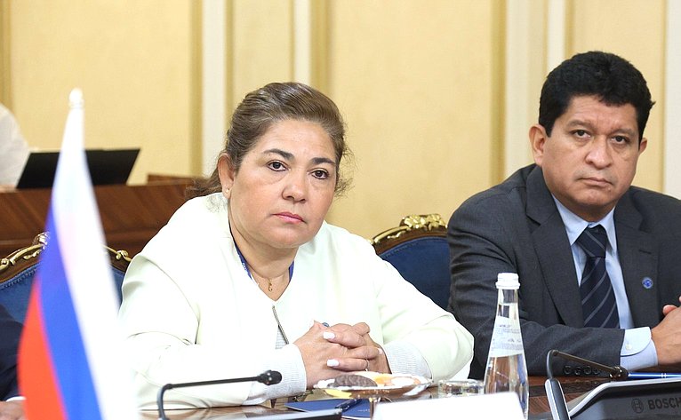 Заместитель Председателя СФ Константин Косачев провел встречу с председателем Палаты сенаторов Многонациональной законодательной ассамблеи Боливии Андронико Родригесом Ледесмой