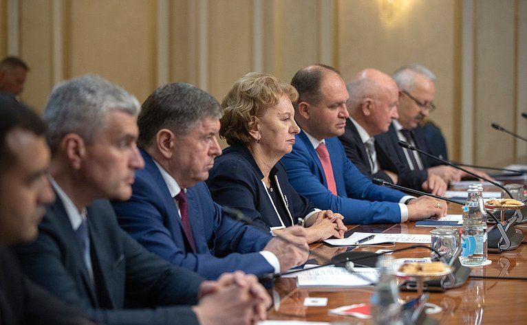 Встреча В. Матвиенко с Председателем Парламента Республики Молдова