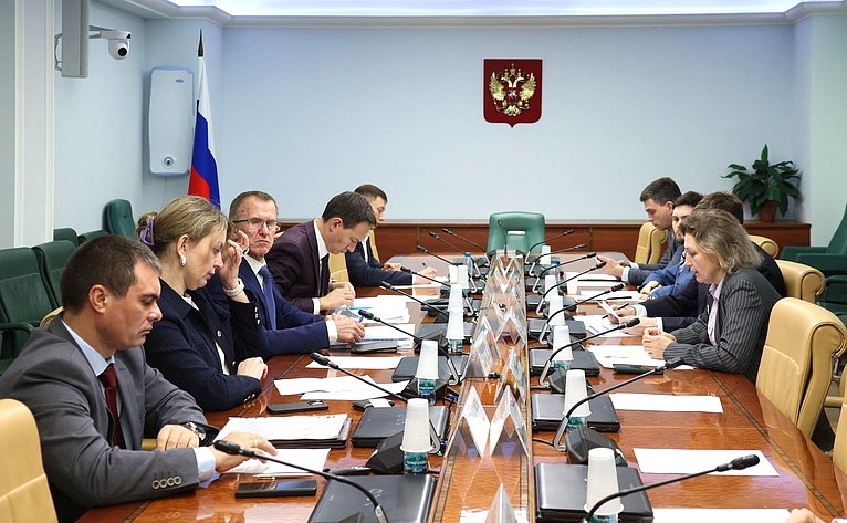 Круглый стол Комитета Совета Федерации по экономической политике «Инфраструктура поддержки субъектов малого и среднего предпринимательства в условиях реализации национального проекта «Эффективная и конкурентная экономика»»