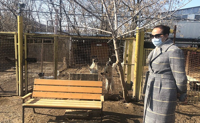 Ирина Петина в ходе поездки в регион посетила две площадки городской службы по контролю за безнадзорными животными и несколько приютов