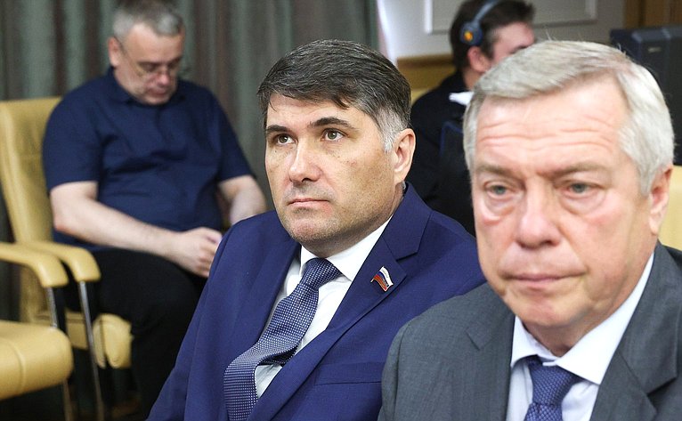 Встреча сенаторов Российской Федерации с Министром экономического развития РФ Максимом Решетниковым в формате «Открытого диалога»