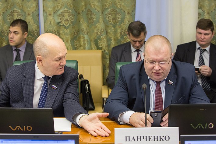 М. Щетинин и И. Панченко Заседание Комитета Совета Федерации по экономической политике