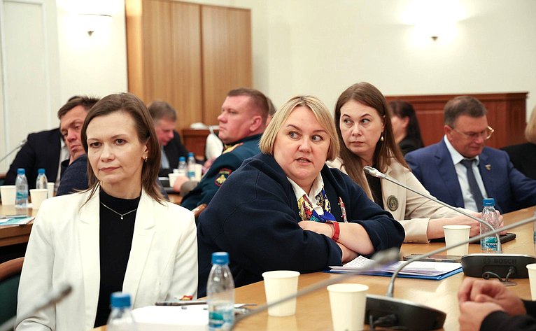 Сенаторы обсудили успешные практики и предложения по развитию НКО