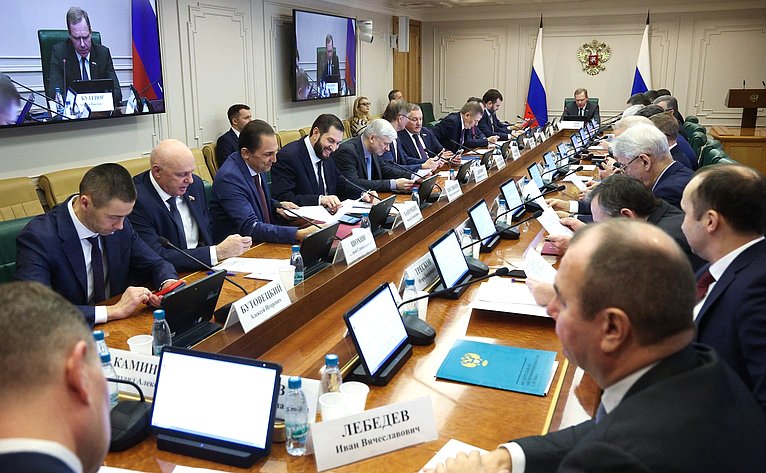Заседание Комитета Совета Федерации по экономической политике