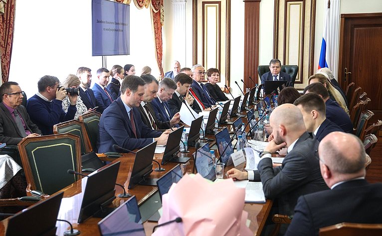 Заседание Комитета Совета Федерации по международным делам