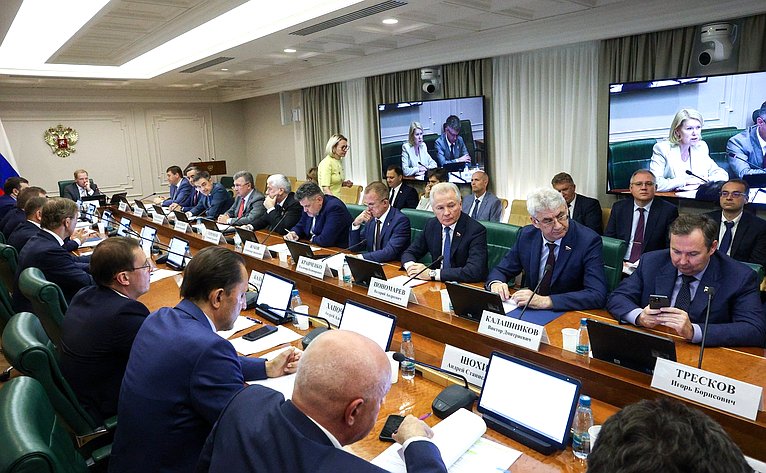 Заседание Комитета Совета Федерации по экономической политике