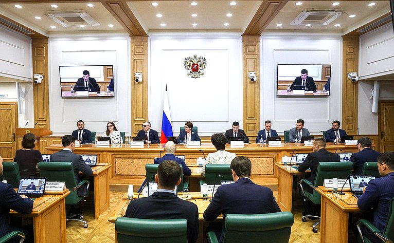 Заседание Палаты молодых законодателей при Совете Федерации