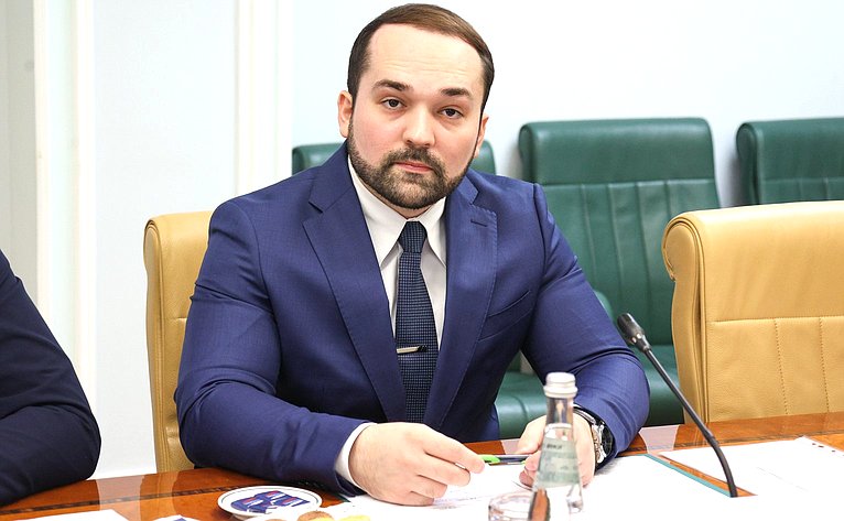 Онлайн-конференция между членами палаты молодых законодателей при СФ и молодыми членами СНП провинции Ляонин КНР