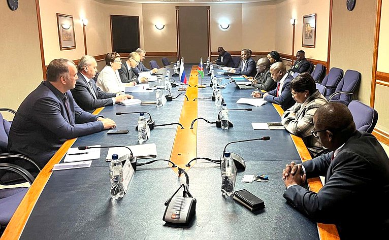 В Виндхуке состоялось заседание групп по сотрудничеству Совета Федерации и Национального совета Республики Намибии