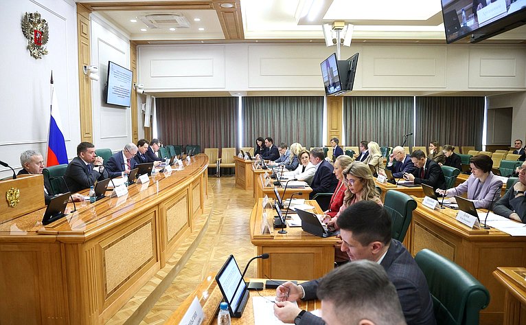 Заседание Комитета Совета Федерации по бюджету и финансовым рынкам