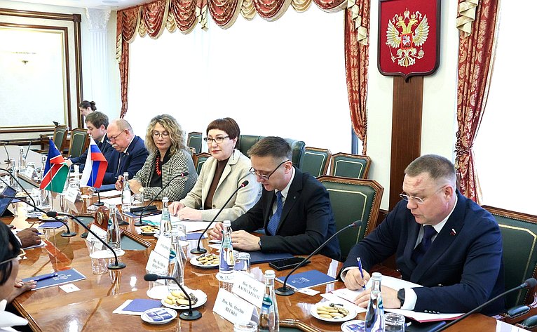 Елена Перминова встретилась с членом Постоянного комитета по вопросам государственной бюджетной отчетности и экономики Национального совета Намибии Абнером Шиконго