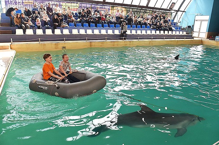 Ирина Рукавишникова в рамках региональной недели организовала посещение ростовского дельфинария для группы детей Донбасса, среди которых были и дети с ограниченными возможностями здоровья