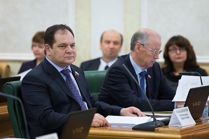 Р. Гольдштейн Заседание Комитета Совета Федерации по бюджету и финансовым рынкам