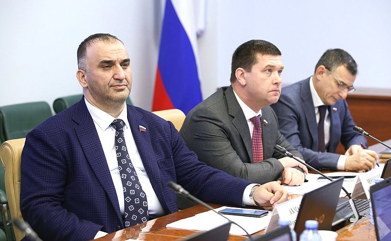 Заседание Комитета СФ по социальной политике