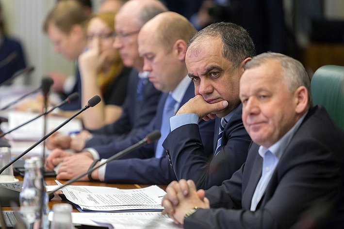 Заседание Комитета Совета Федерации по бюджету и финансовым рынкам 7