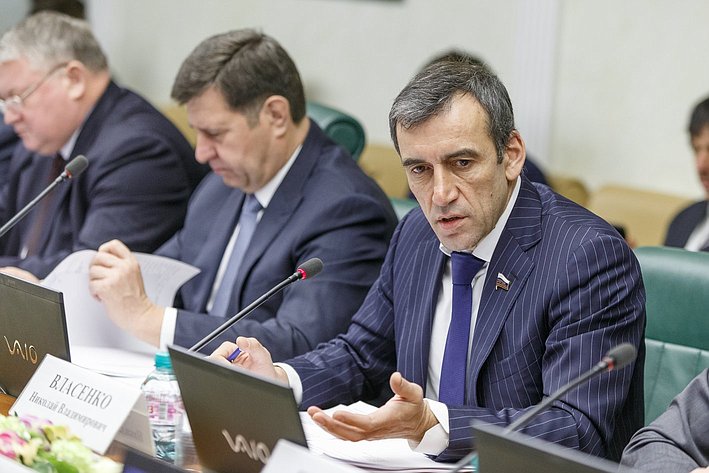 Н. Власенко Заседание Комитета Совета Федерации по экономической политике