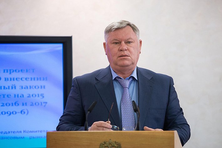 В. Петров Заседание Комитета СФ по бюджету и финансовым рынкам