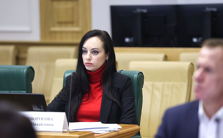 Заседание рабочей группы по законодательному обеспечению прав и законных интересов граждан РФ – участников специальной военной операции и членов их семей