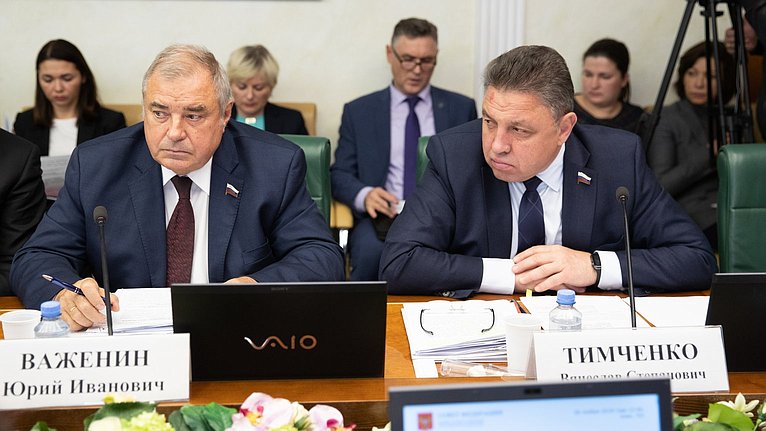 Заседание временной комиссии СФ по мониторингу экономического развития