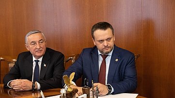 Председатель Совета Федерации провела встречу с губернатором Новгородской области
