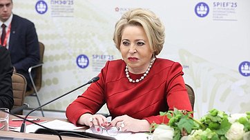 Встреча Председателя Совета Федерации Валентины Матвиенко с Вице-президентом ЮАР