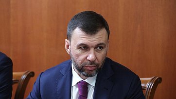 Валентина Матвиенко провела встречу с главой Донецкой Народной Республики Денисом Пушилиным