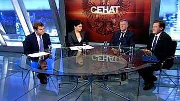 Бюджет 2015 года. Программа «Сенат» телеканала «Россия 24»