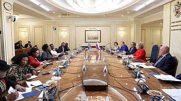 Встреча Председателя Совета Федерации с Председателем Национального совета провинций Парламента Южно-Африканской Республики Рефилве Марией Мтсвени-Тсипане