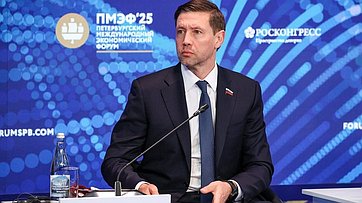 Артем Шейкин в рамках деловой программы Петербургского международного экономического форума (ПМЭФ-2025) принял участие в сессии «ИИ в современной медиасфере»